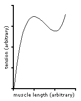 tension length